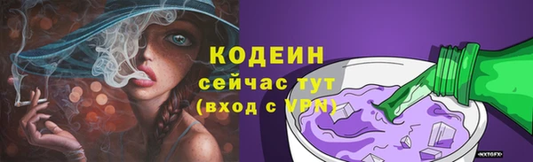 мдпв Богородск