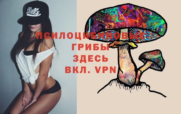 мдпв Богородск