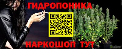 стафф Абинск