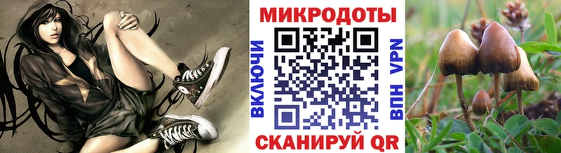 Галлюциногенные грибы MAGIC MUSHROOMS  что такое   Реж 