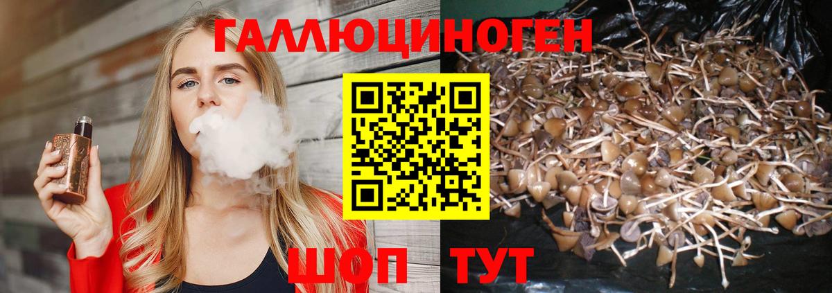 Галлюциногенные грибы мухоморы  Псилоцибиновые грибы Psilocybine cubensis  Вход с VPN  Реж 